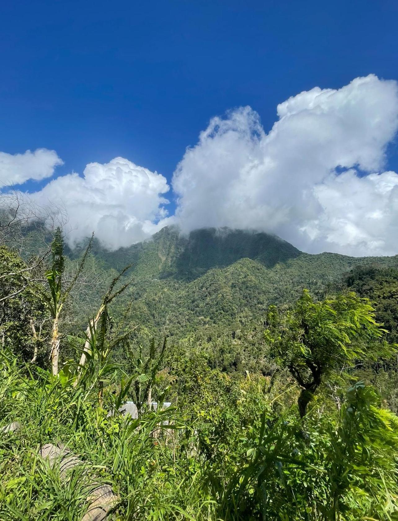 Вілла Tropical Habitat Bali Амед Екстер'єр фото