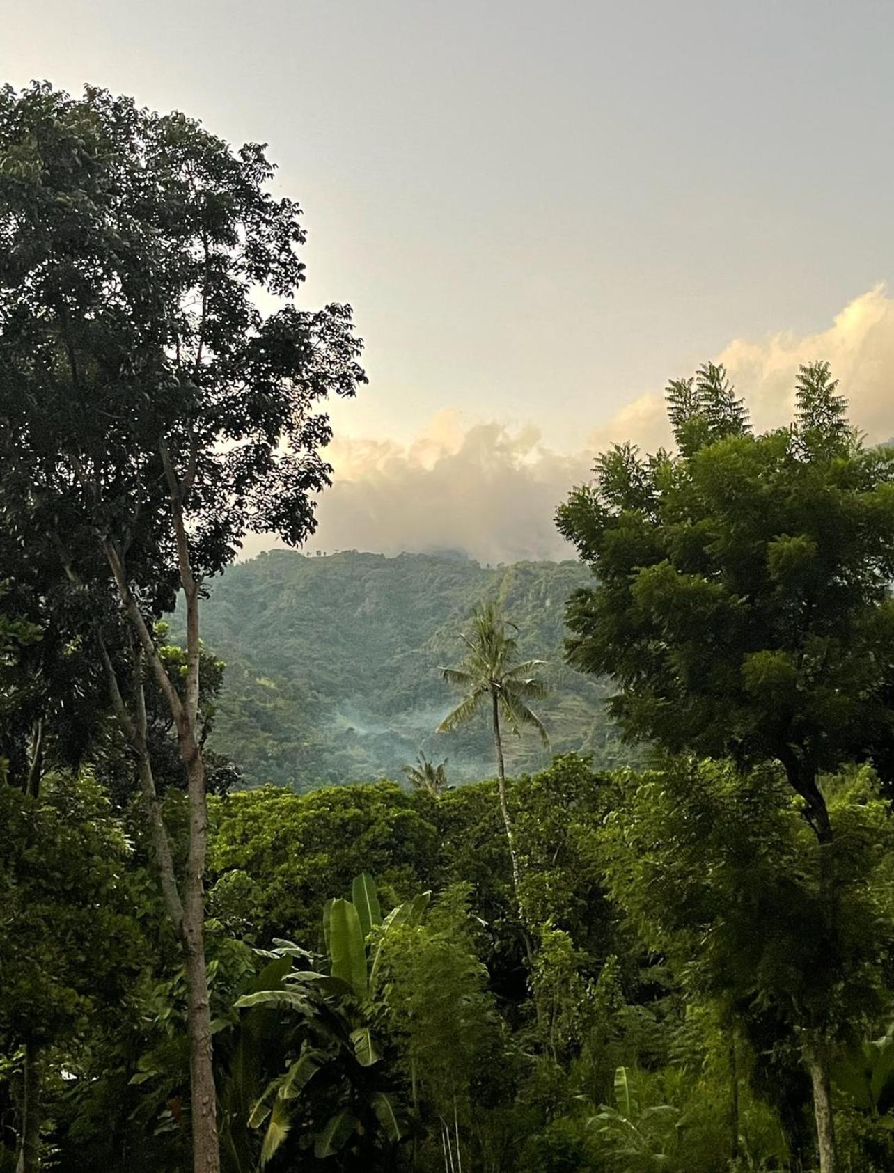 Вілла Tropical Habitat Bali Амед Екстер'єр фото