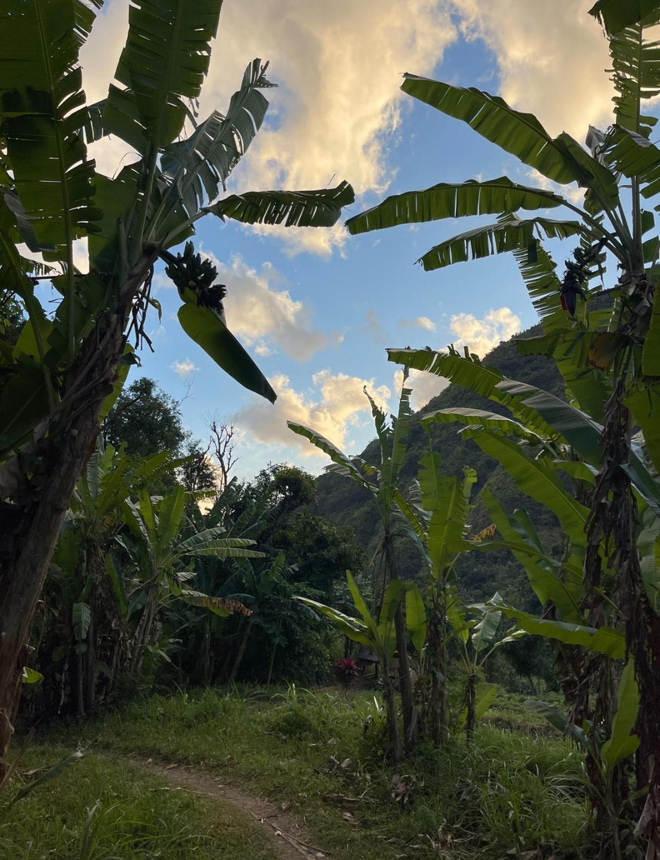 Вілла Tropical Habitat Bali Амед Екстер'єр фото