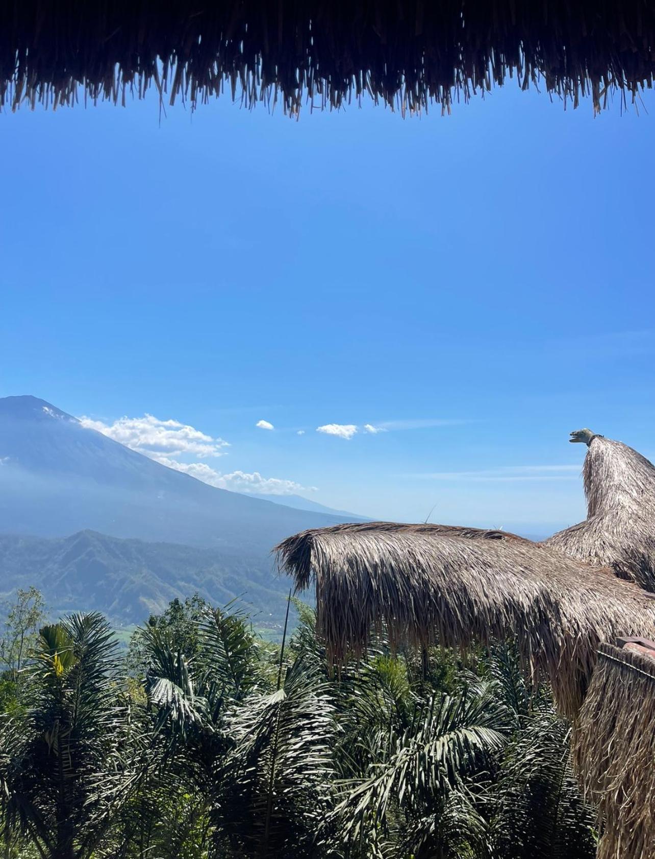 Вілла Tropical Habitat Bali Амед Екстер'єр фото